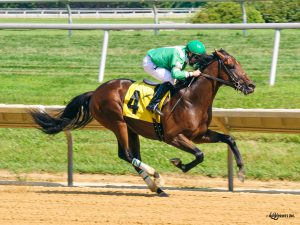 Galaxy Express wins at Delaware Park on 7/27/16 and earned a $2,760 bonus. photo courtesy of Hoofprints, Inc.
