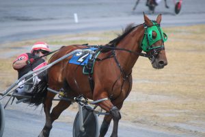 Dr. Scott Woogen, President of the Virginia Harness Horsemen's Association (VHHA), drove a trio of winners Wednesday at Woodstock. Photo bv Andy Huffmeyer.