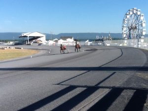 Horses tried out the newly renovated half mile oval in Woodstock Wednesday morning.