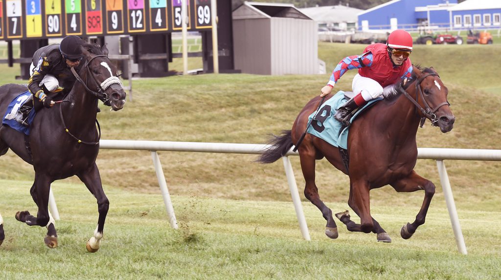 Lime House Louie, bred by Carlos Moore & Gillian Gordon-Moore, won the Jamestrown Stakes for 2 year olds at Laurel Saturday. Gabriel Saez guided the effort up top. Photo by Jim McCue.