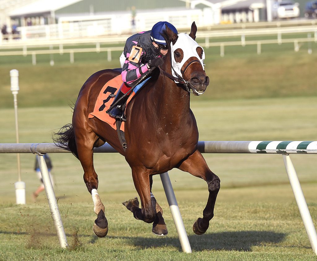 Rose Brier completed a "three-peat" in Saturday's Bert Allen Stakes at Laurel. The 7 year old Mizzen Mast gelding won the stakes in '14 and '15. Photo by Jim McCue.