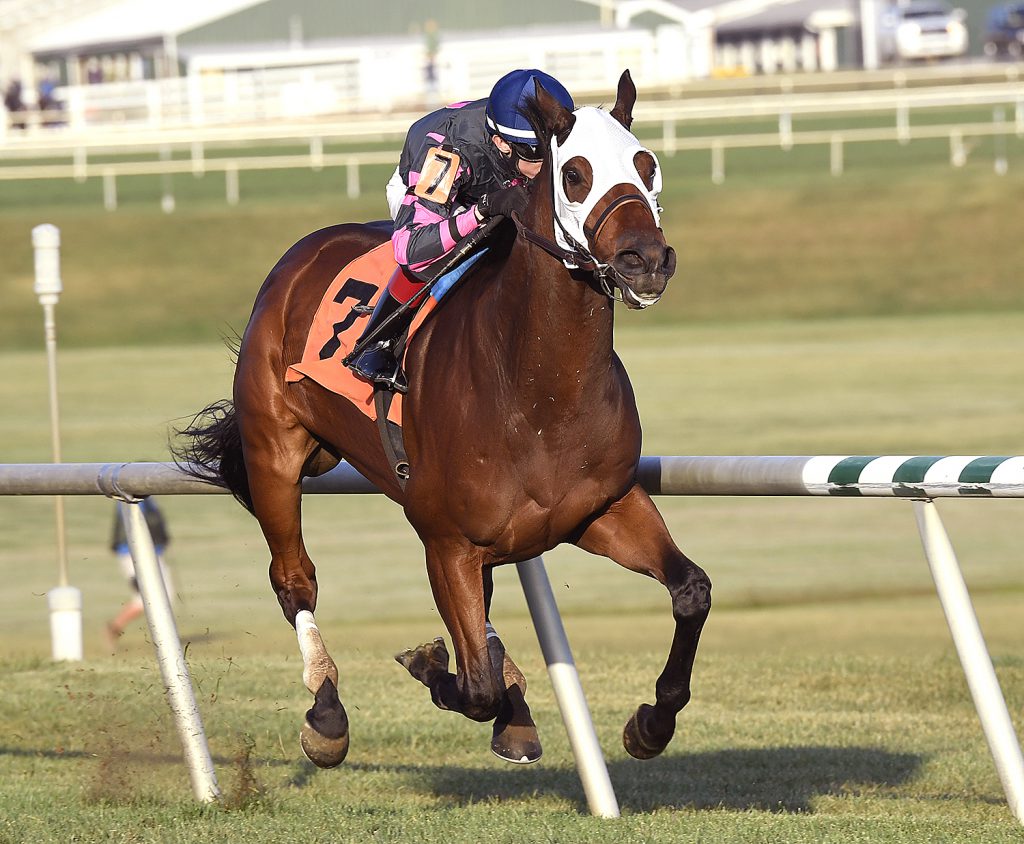 Rose Brier completed a "three-peat" in Saturday's Bert Allen Stakes at Laurel. The 7 year old Mizzen Mast gelding won the stakes in '14 and '15. Photo by Jim McCue. 