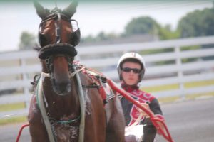 shenandoah downs open wknd