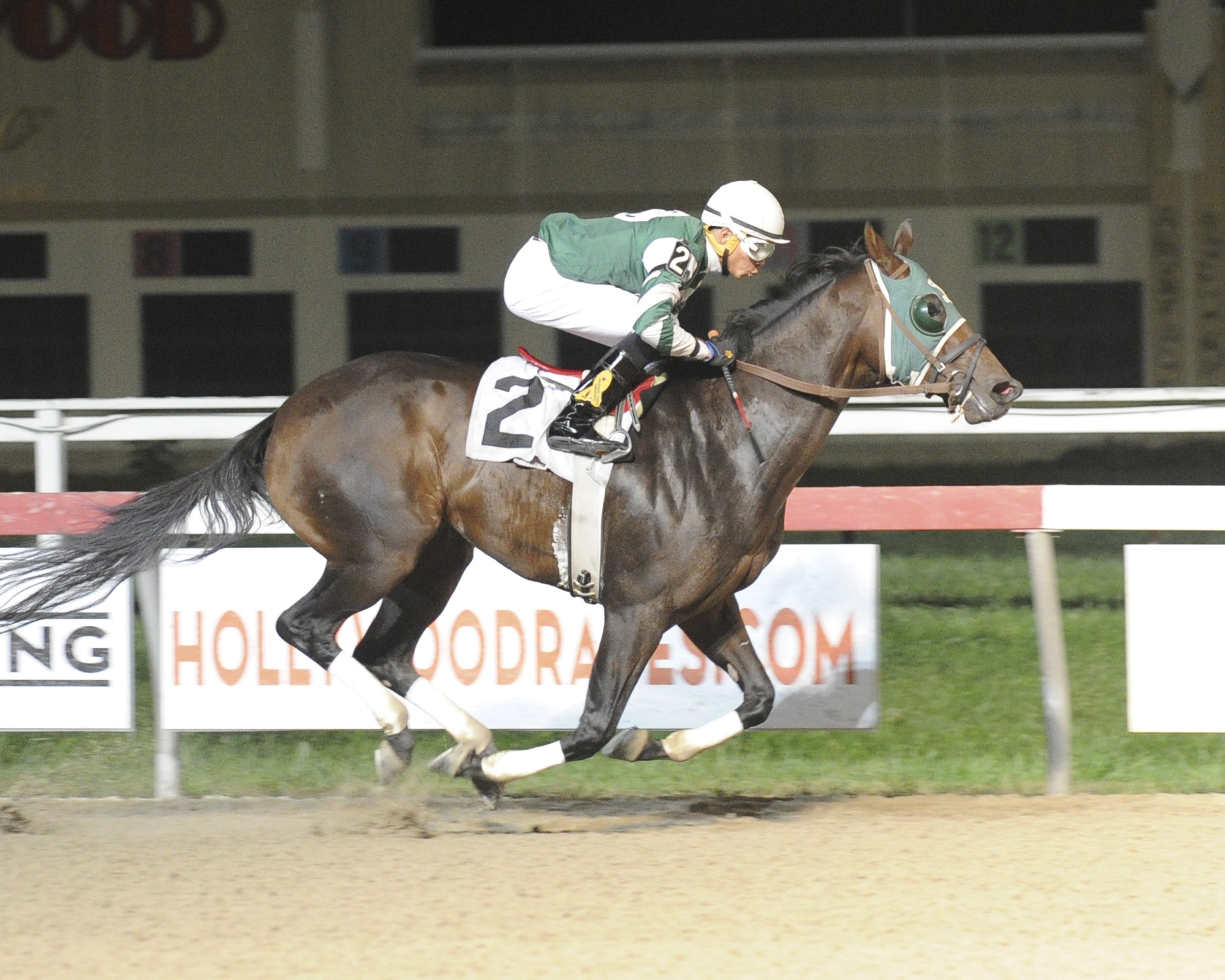 Bird Call, bred by the Lazy lane Farms, dominated October 7th at Penn, winning by 10 lengths. photo by B&D Photography.