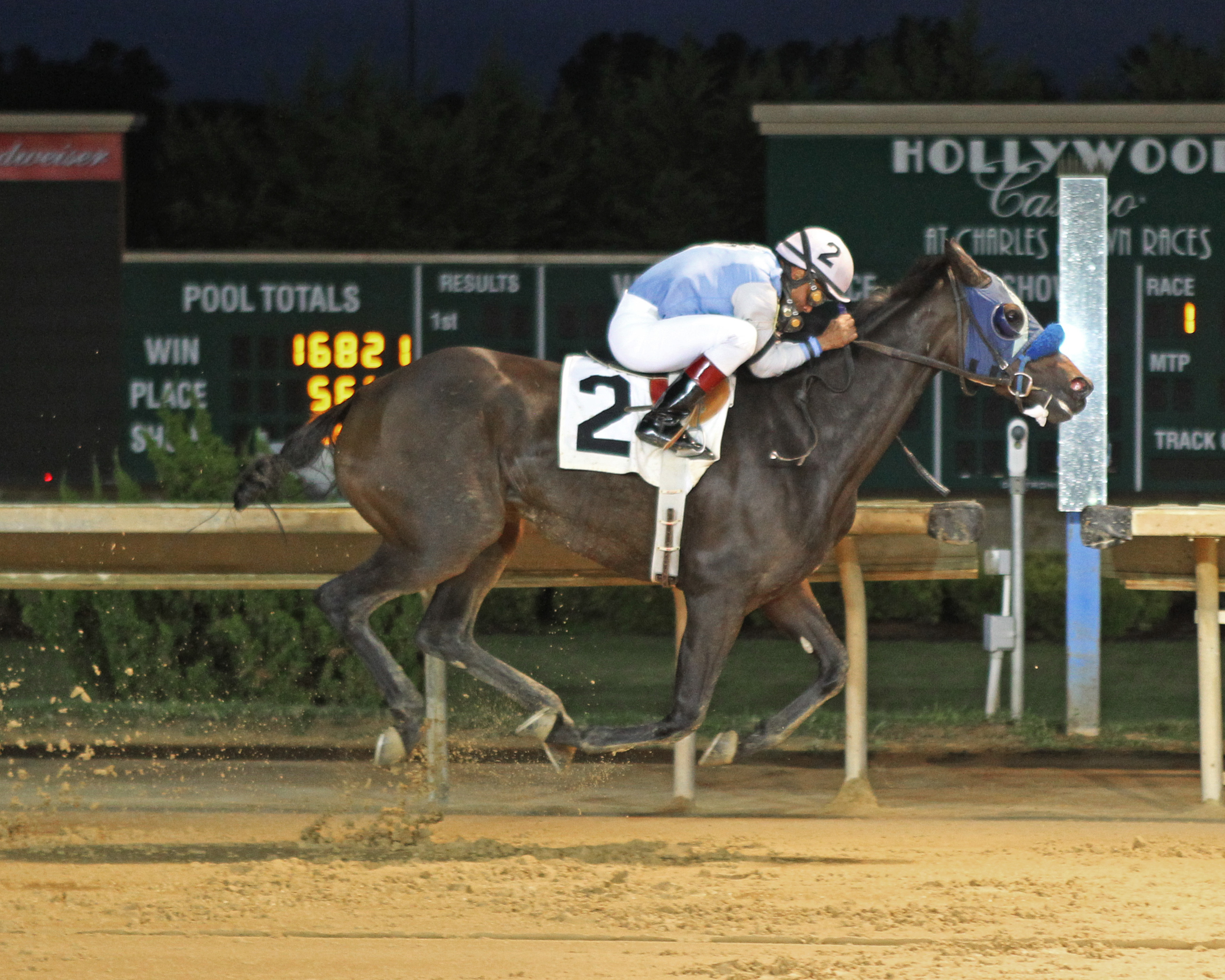 Start Winning captured her first lifetime win in convincing fashion with a score at Charles Town. Photo by Coady Photography.