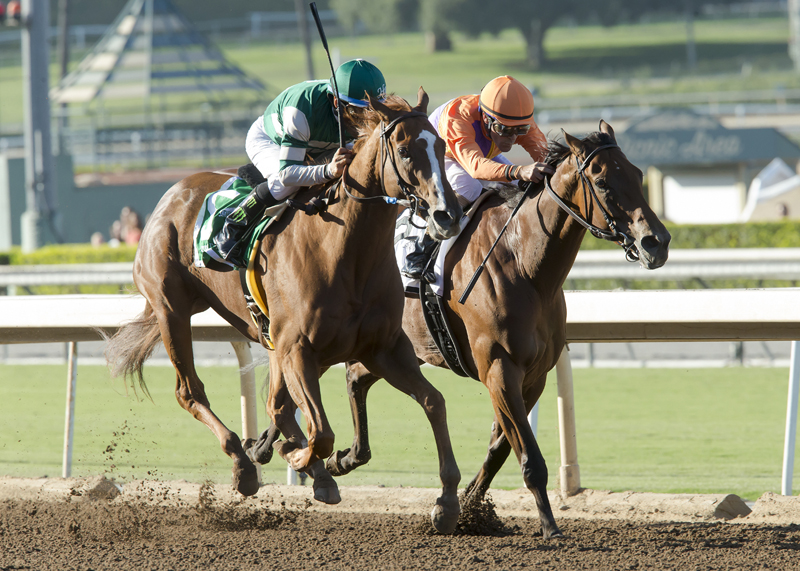 Hronis Racing's Stellar Wind and jockey Victor Espinoza, left, outleg Beholder (GaryStevens), right, to win the Grade I, $300,000 Zenyatta Stakes, Saturday, October 1, 2016 at Santa Anita Park, Arcadia CA. © BENOIT PHOTO