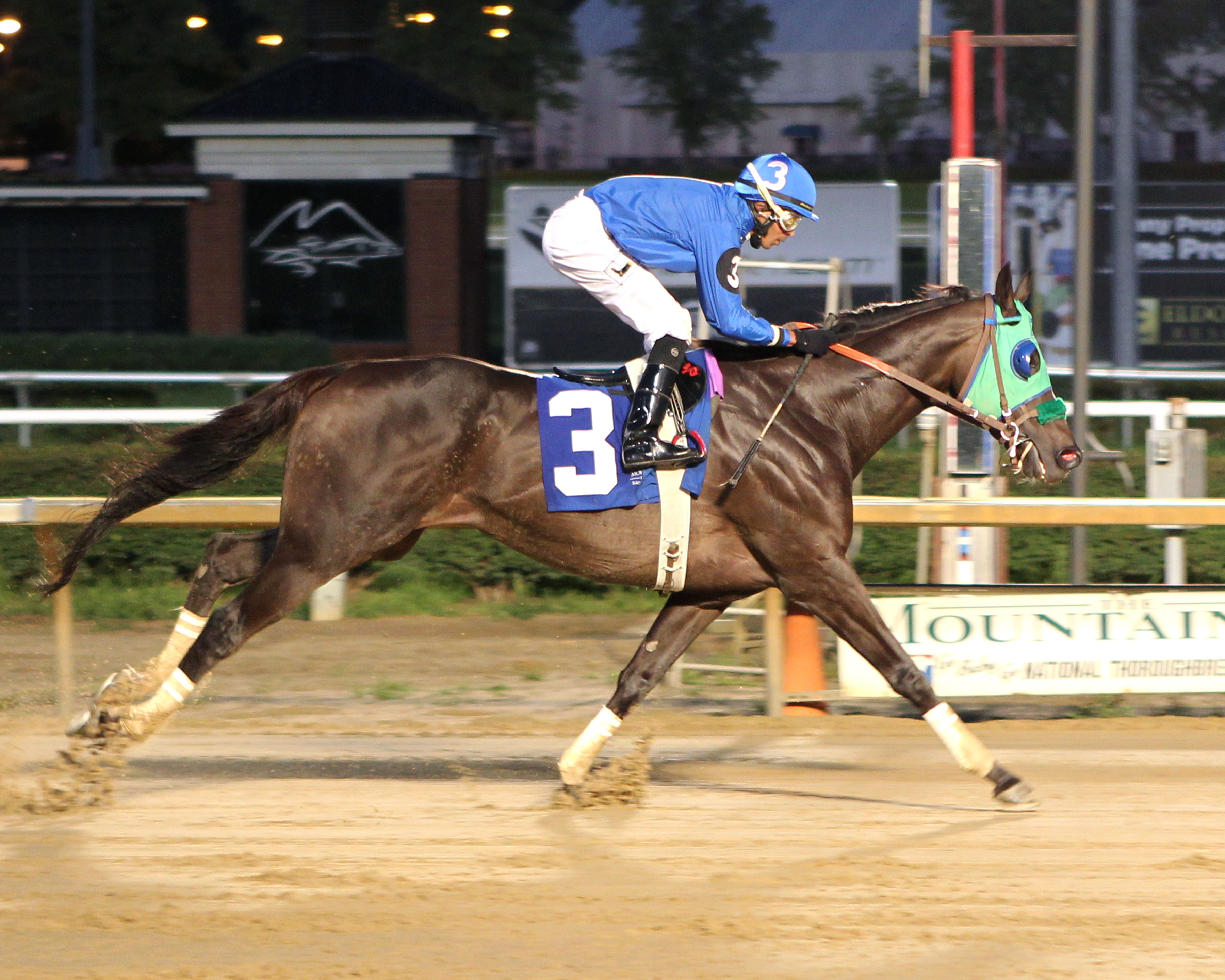 Titan Alexander will compete in Saturday's Maryland Million $150,000 Classic Stakes. Photo by Coady Photography