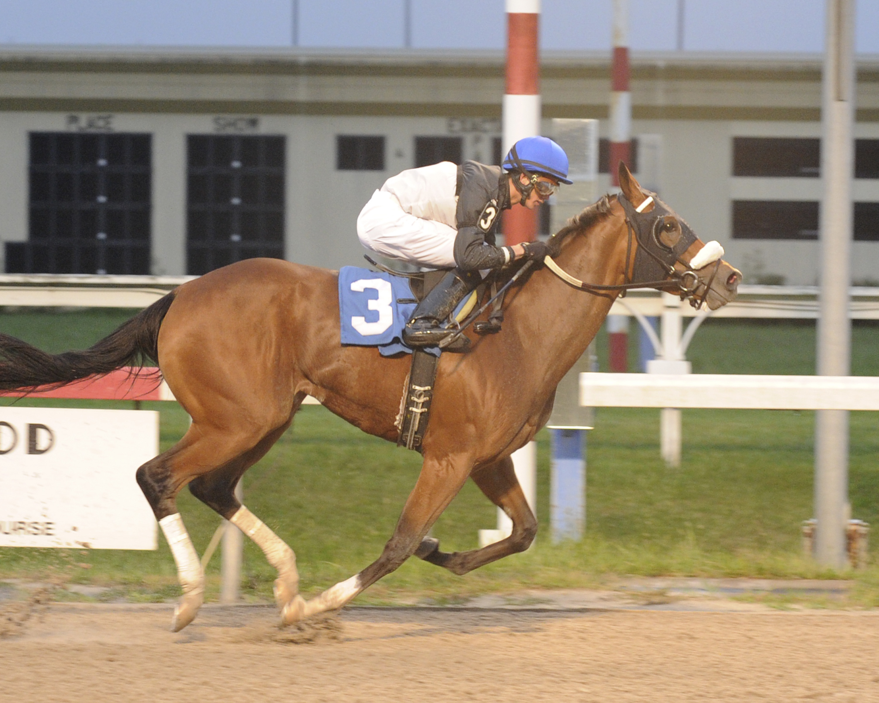 Mike Trombetta trainee, Up Hill Battle, was victorious September 29th in a $17,100 claiming race at Penn National. photo by B&D Photography.