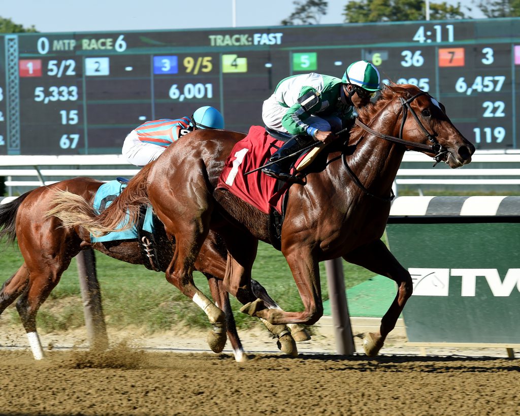 Mr. Buff by Friend or Foe breaks his maiden at Belmont on September 23, 2016