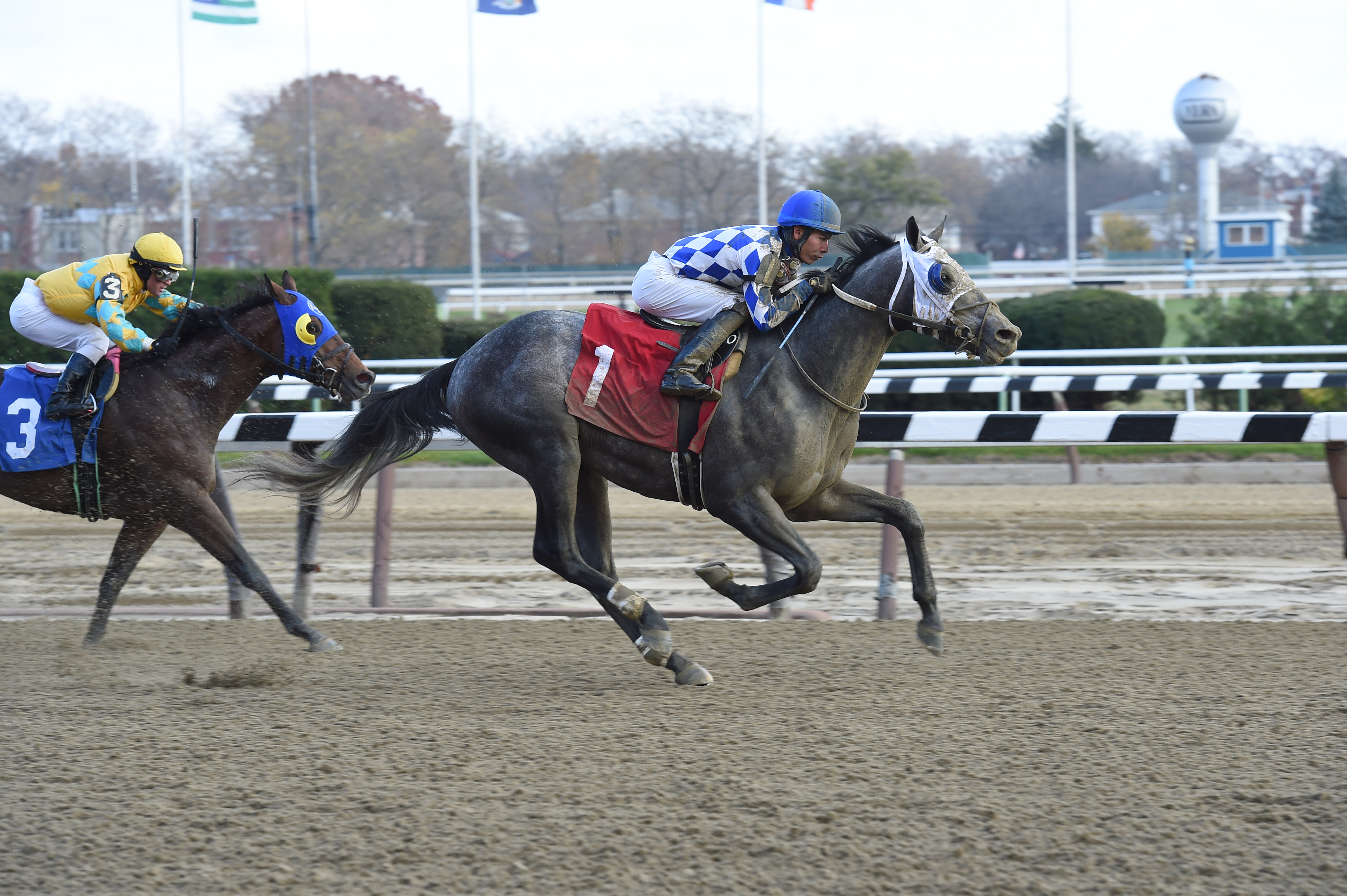 Divine Interventio collected a victory in a $58,000 starter allowance race at Aqueduct November 26th. Photo by Adam Coglianese.