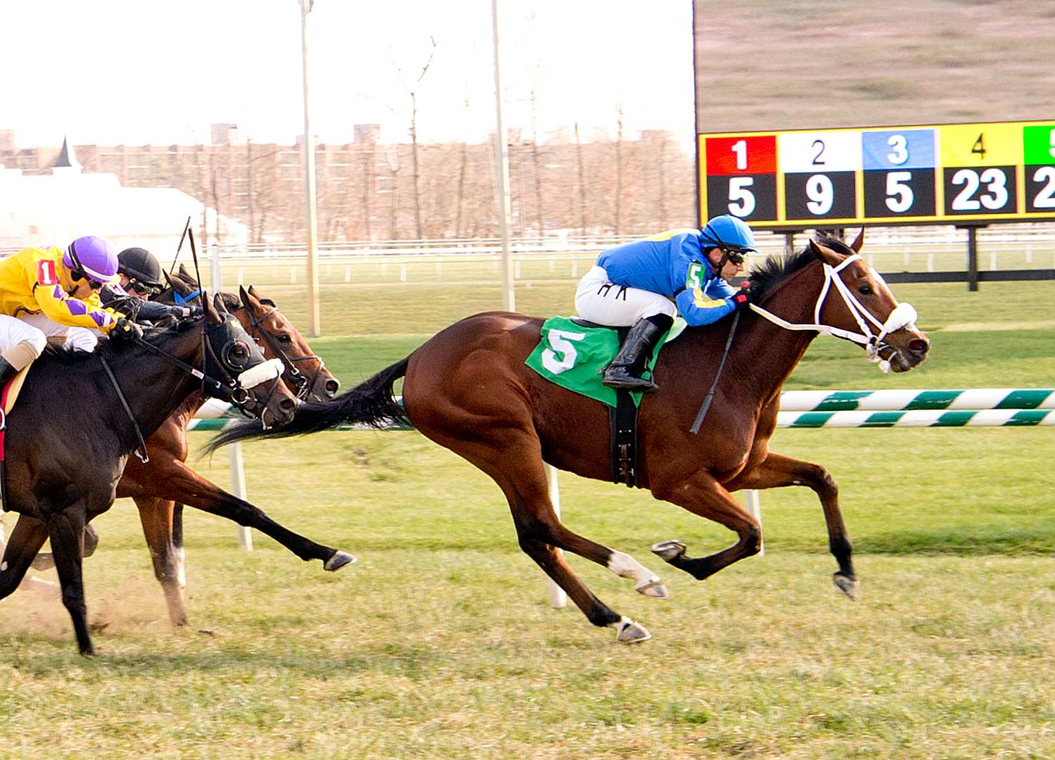 Fly E Dubai earned a win in his first lifetime start November 27th at Laurel. The upset winner paid $44.80 to win. photo by Jim McCue.