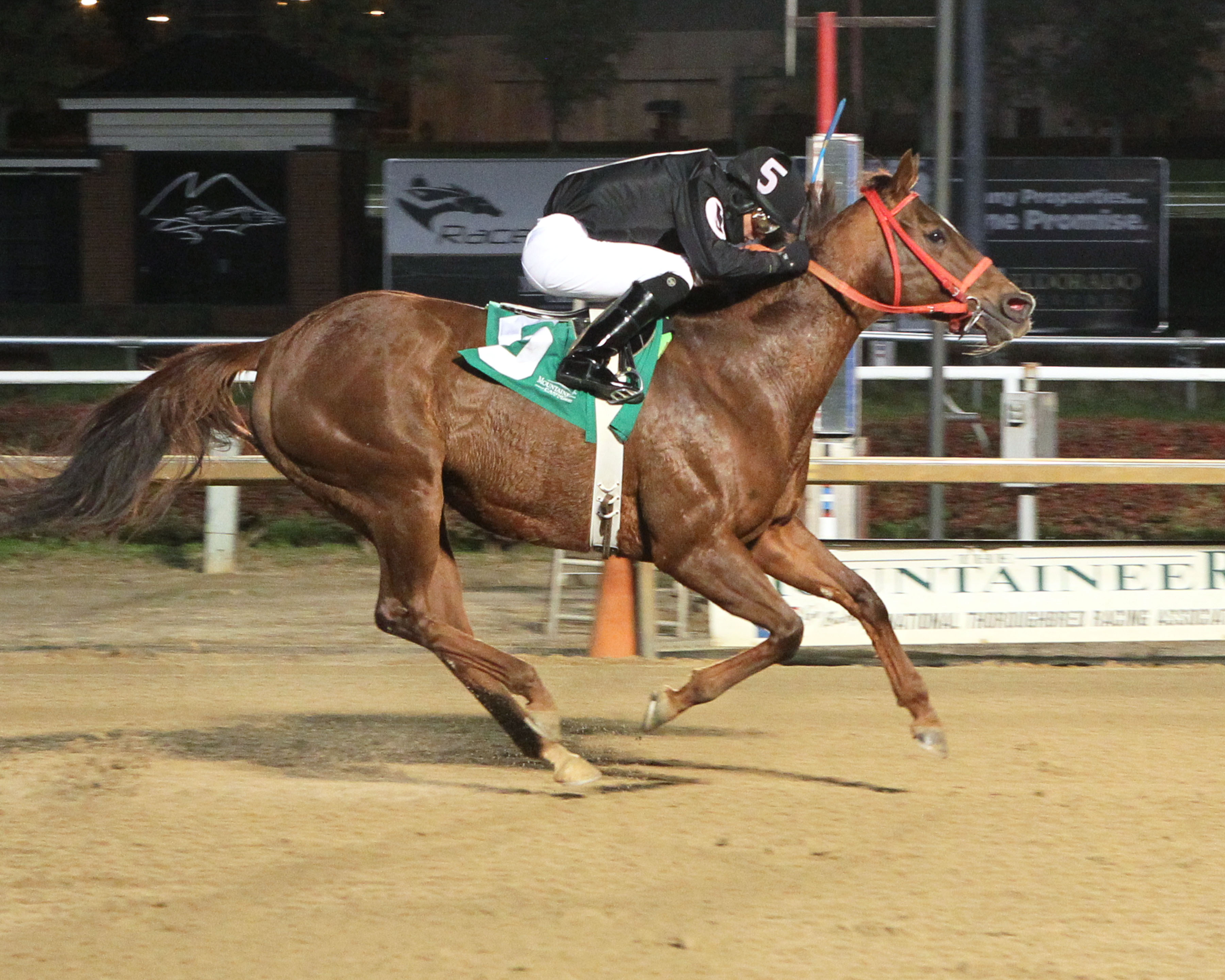 Fur Lined's win at Mountaineer November 13th got owner Amailia Cox a 25% bonus courtesy of the VTA/HBPA Mid-Atlantic incentive program. Photo by Coady Photography.