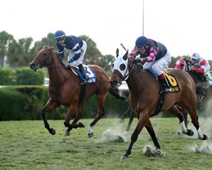 Virginia-bred Rose Brier won the Tropical Turf Handicap (Gr. 3) Thanksgiving weekend but was disqualified and placed 2nd.