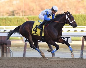 Sticksstatelydude won his second race of 2016 in the $150,000 Discovery Stakes. Photo by Adam Coglianese.