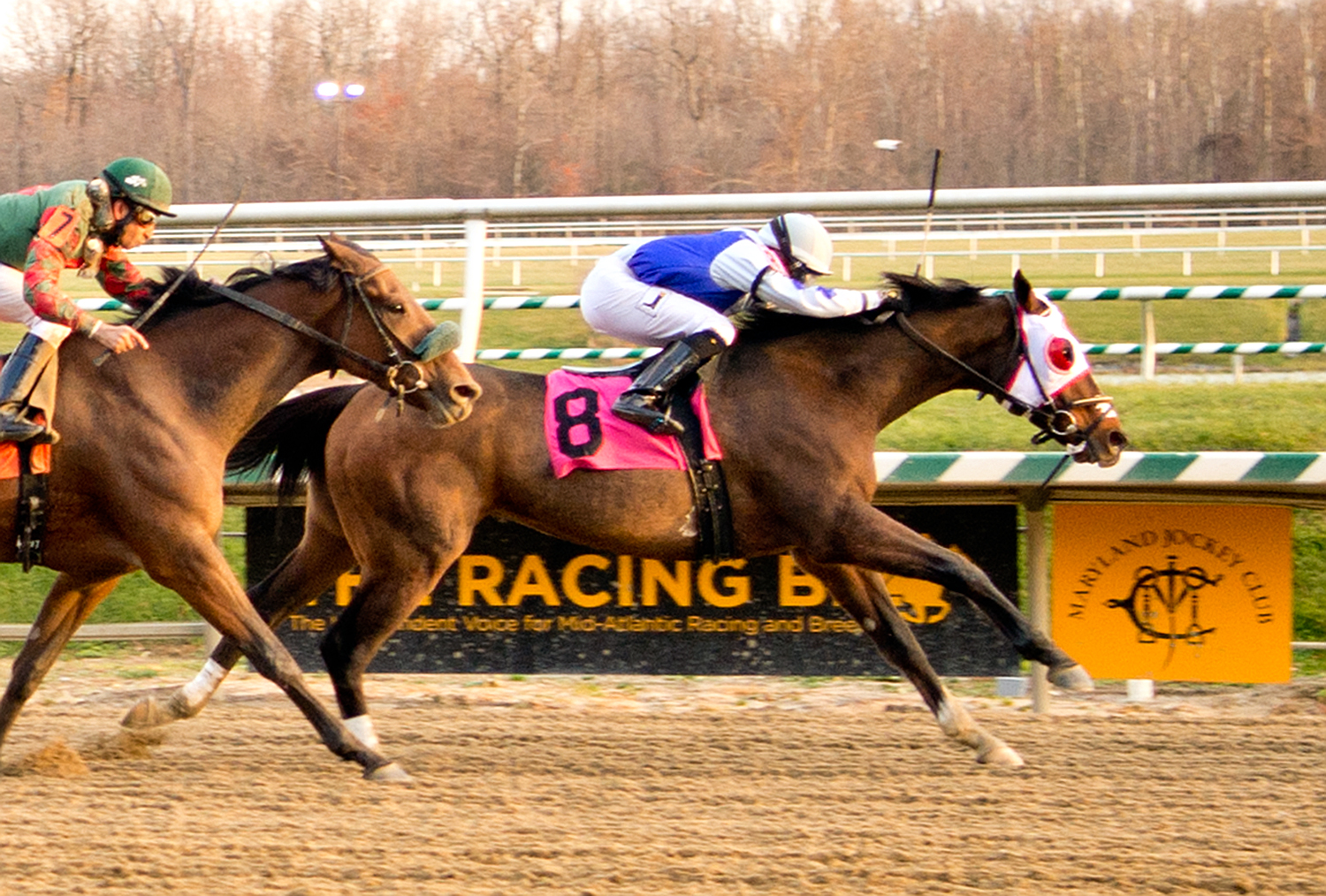 Hatteras Bound is shown winning a $30,000 claimer at Laurel December 3rd. Photo by Jim McCue.