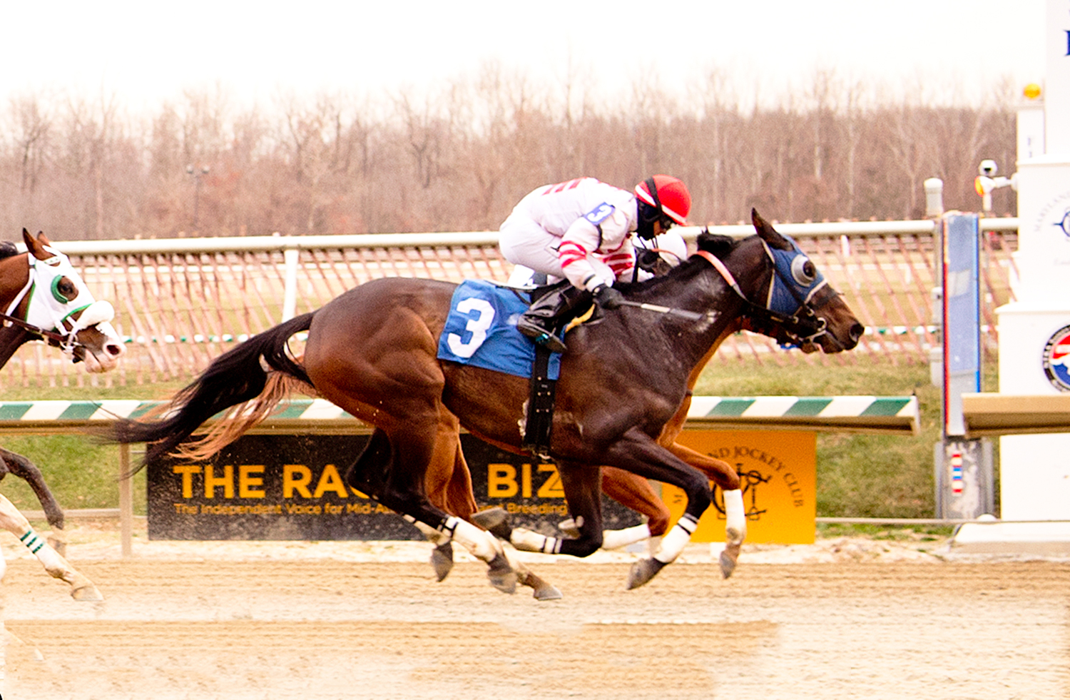 Bourbon and Beer was the best of 10 horses in a maiden claimer at Laurel December 16th. Photo by Jim McCue.