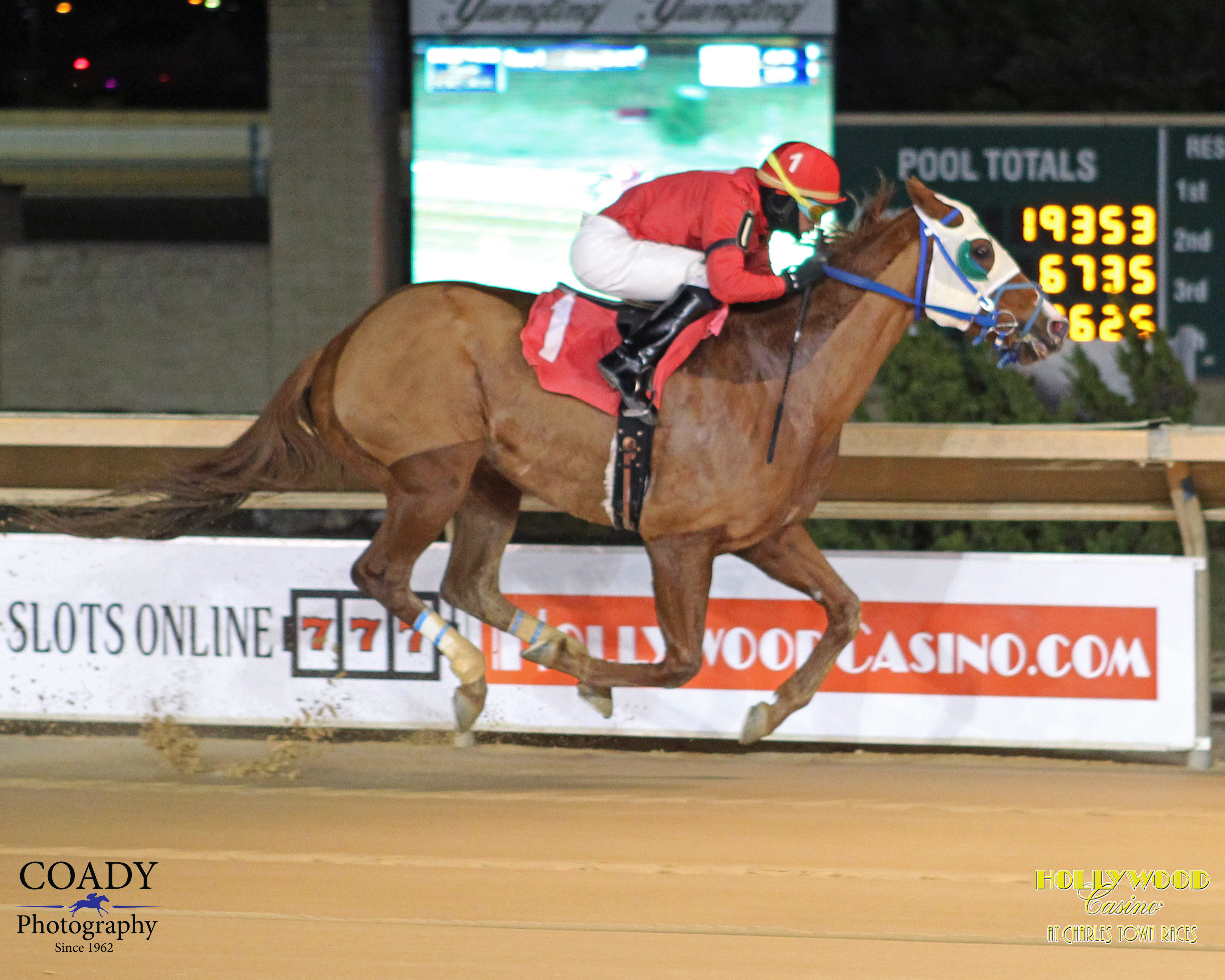 Nice Try's win at Charles Town January 17th gave owners, the Clover Hill Racing LLC, an owner's bonus from the Mid-Atlantic incentive program. Photo courtesy of Coady Photography. 