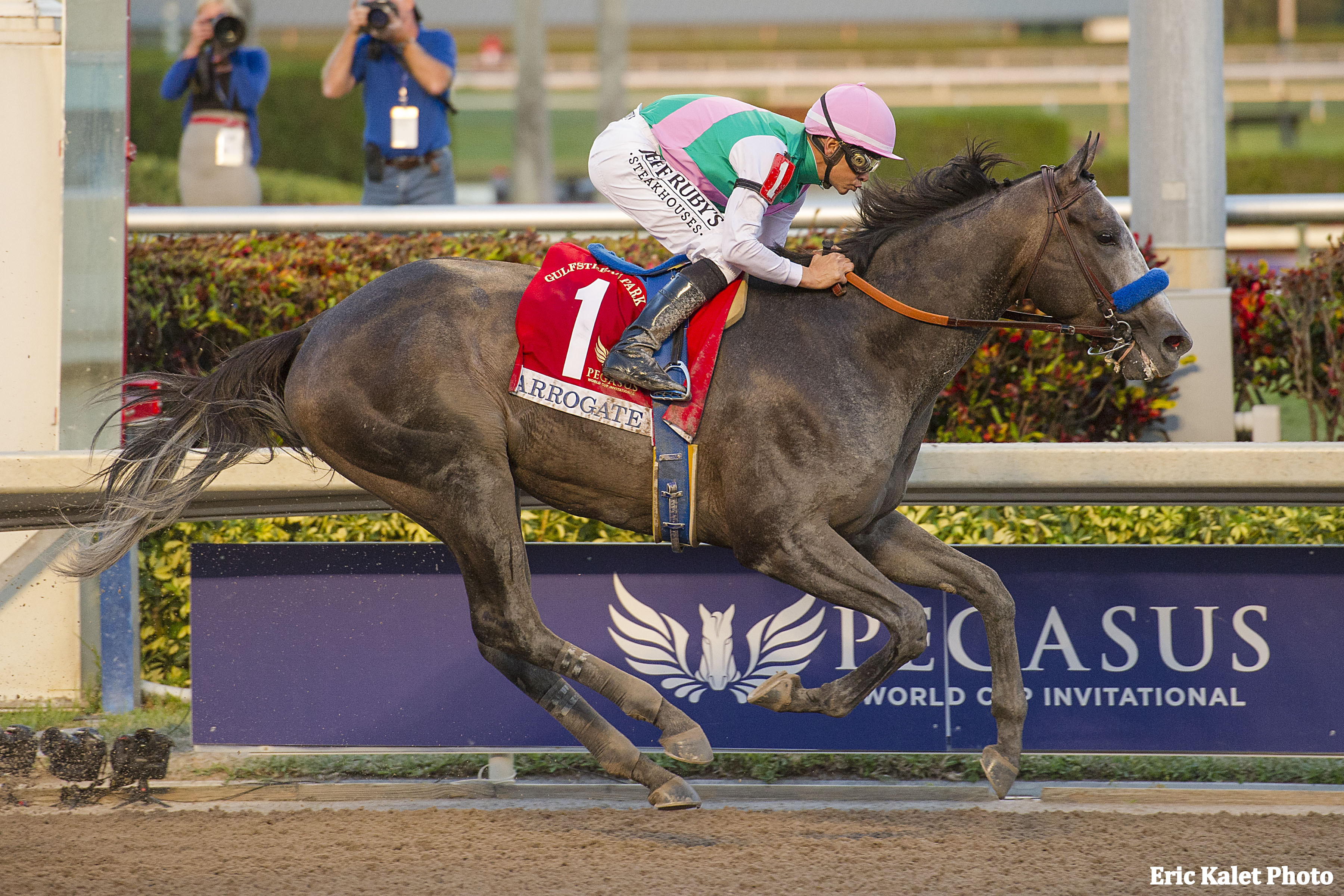 Arrogate and jockey Mike Smith win the 2017 Pegasus World Cup Invitational at Gulfstream Park. Photo courtesy of Eric Kalet.