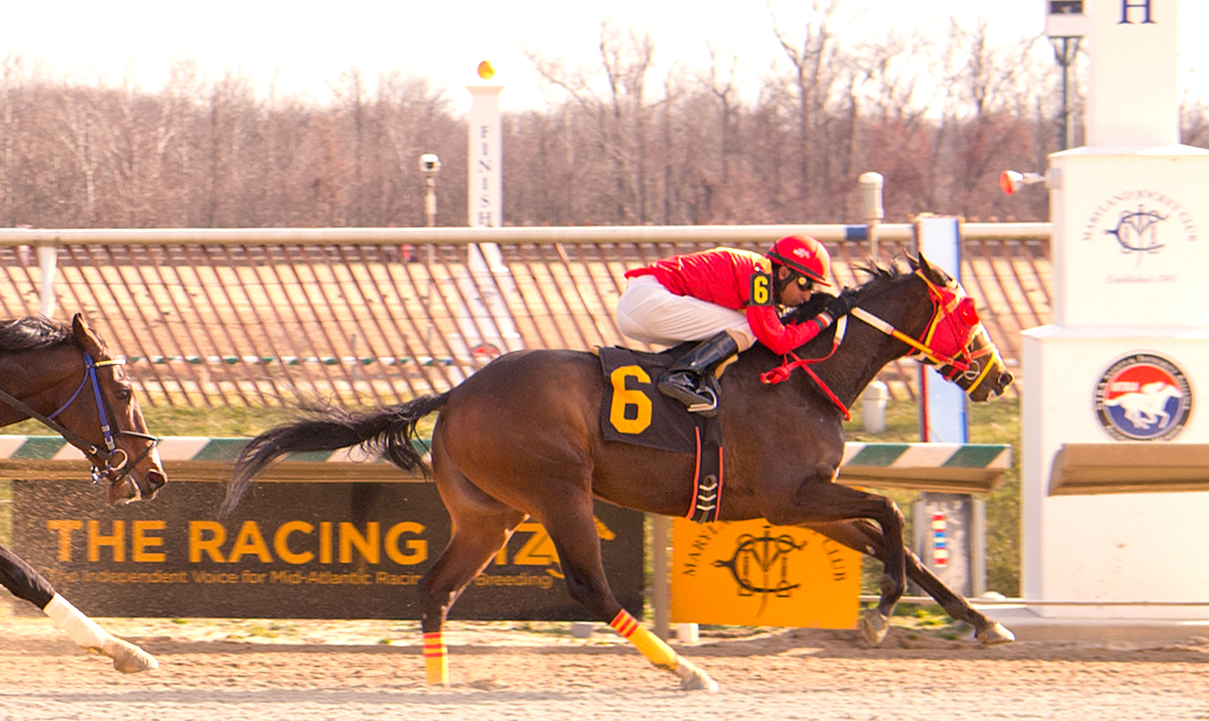 Greek God collected his 19th "in the money" finish with a victory Jan. 28 at Laurel. Photo courtesy of Jim McCue.