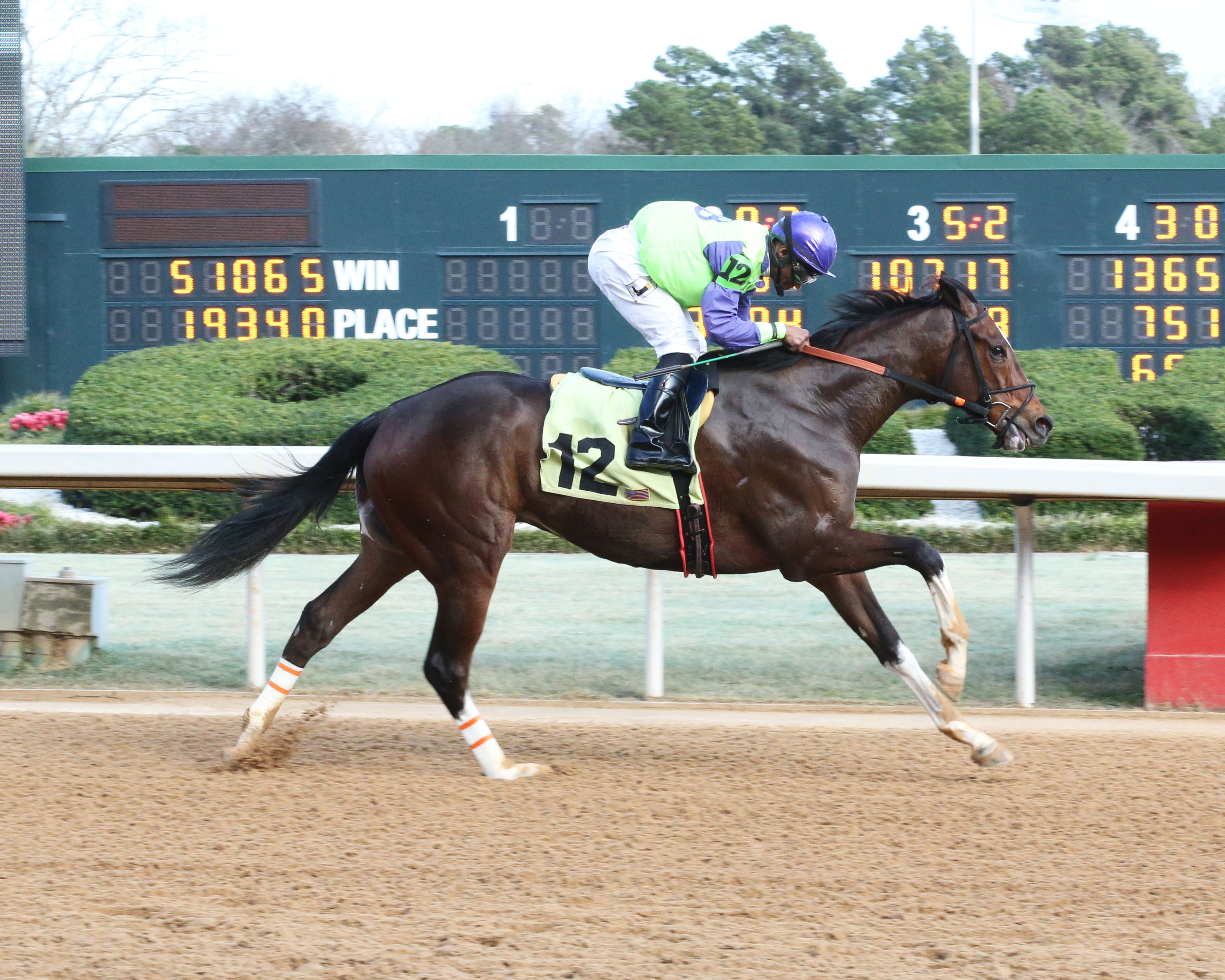 Kody With a K pushed his bankroll over the $100,000 mark with a victory at Oaklawn Feb. 12. Photo courtesy of Coady Photography.