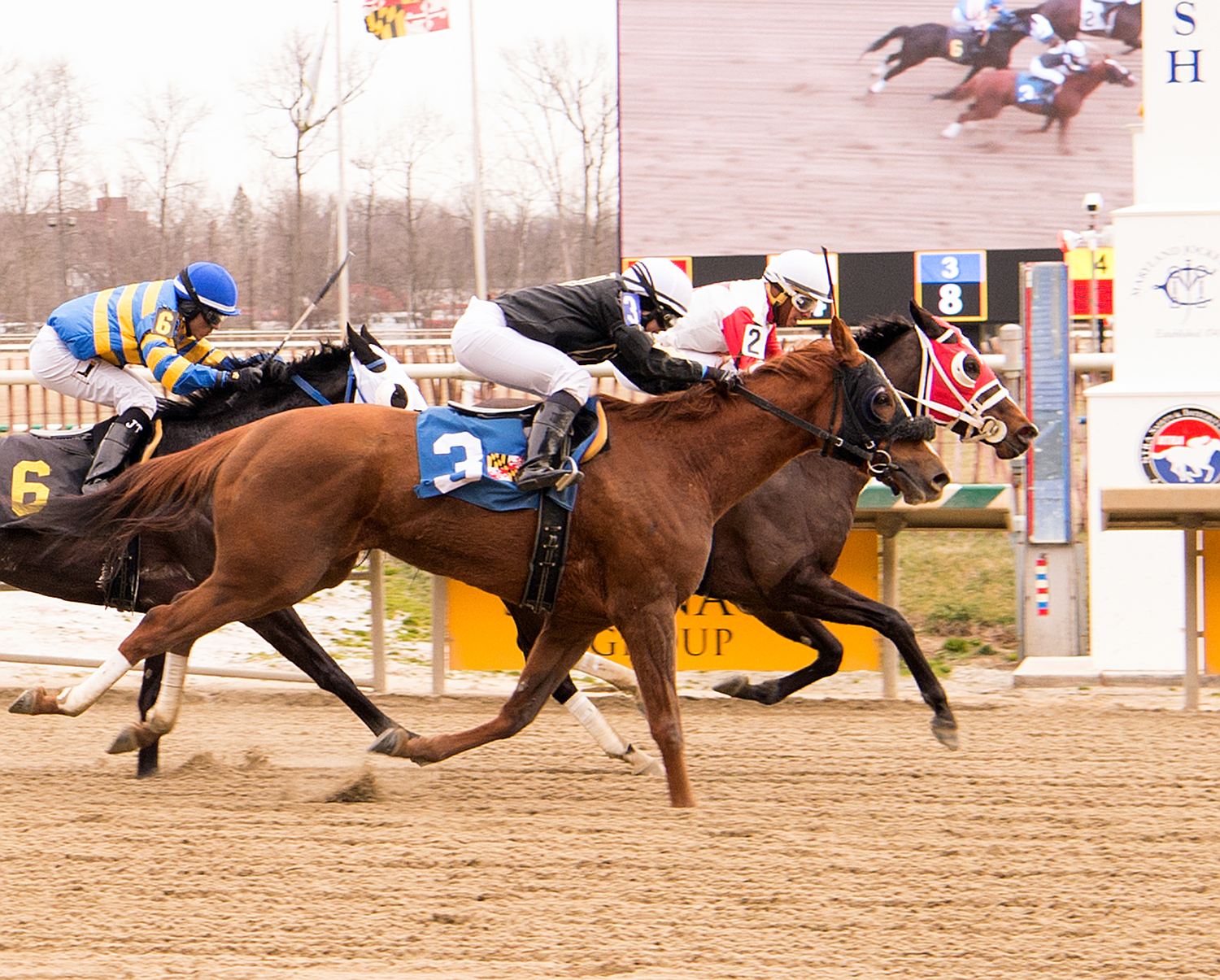 Pardontori'sfrench (outside) just missed on Super Bowl Sunday at Laurel. Photo by Jim McCue.  