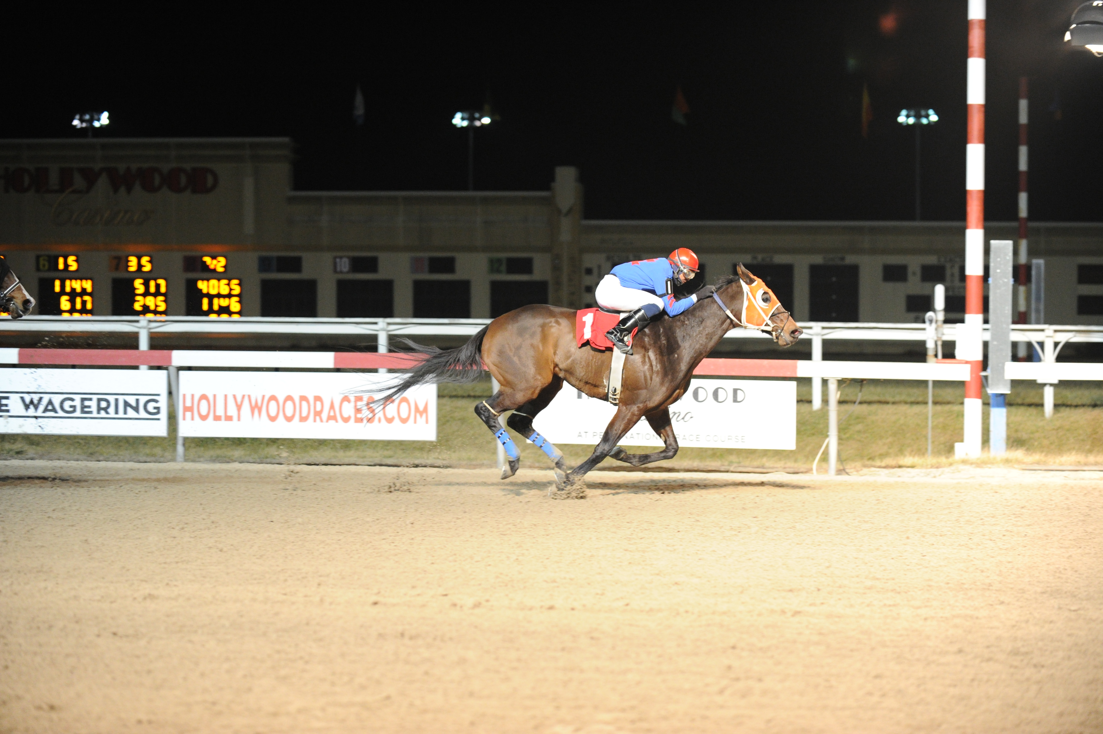 Bird Call, bred by the Lazy Lane Farms, went gate to wire in a Jan. 25th claiming race at Penn National. Photo courtesy of B&D Photography.