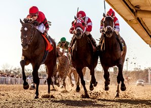 Honorable Duty won the Grade 3 Mineshaft Handicap at Fair Grounds on Risen Star Stakes Day. Photo by Hodges Photography.