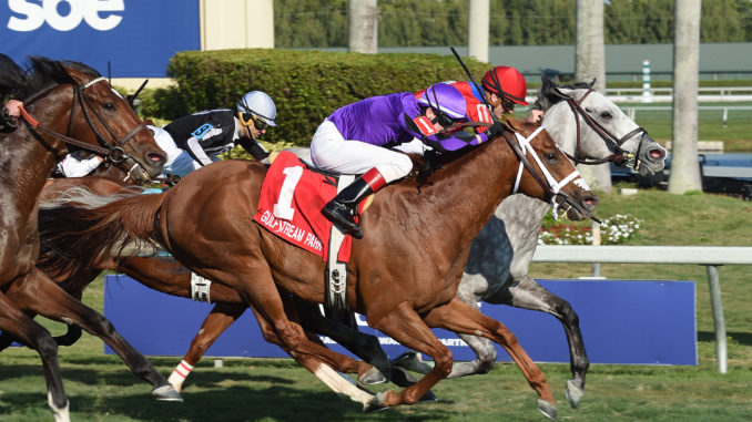 Long On Value took third last Saturday in the $125,000 Gulfstream Park Turf Sprint Stakes. Photo by Coglianese Photography.