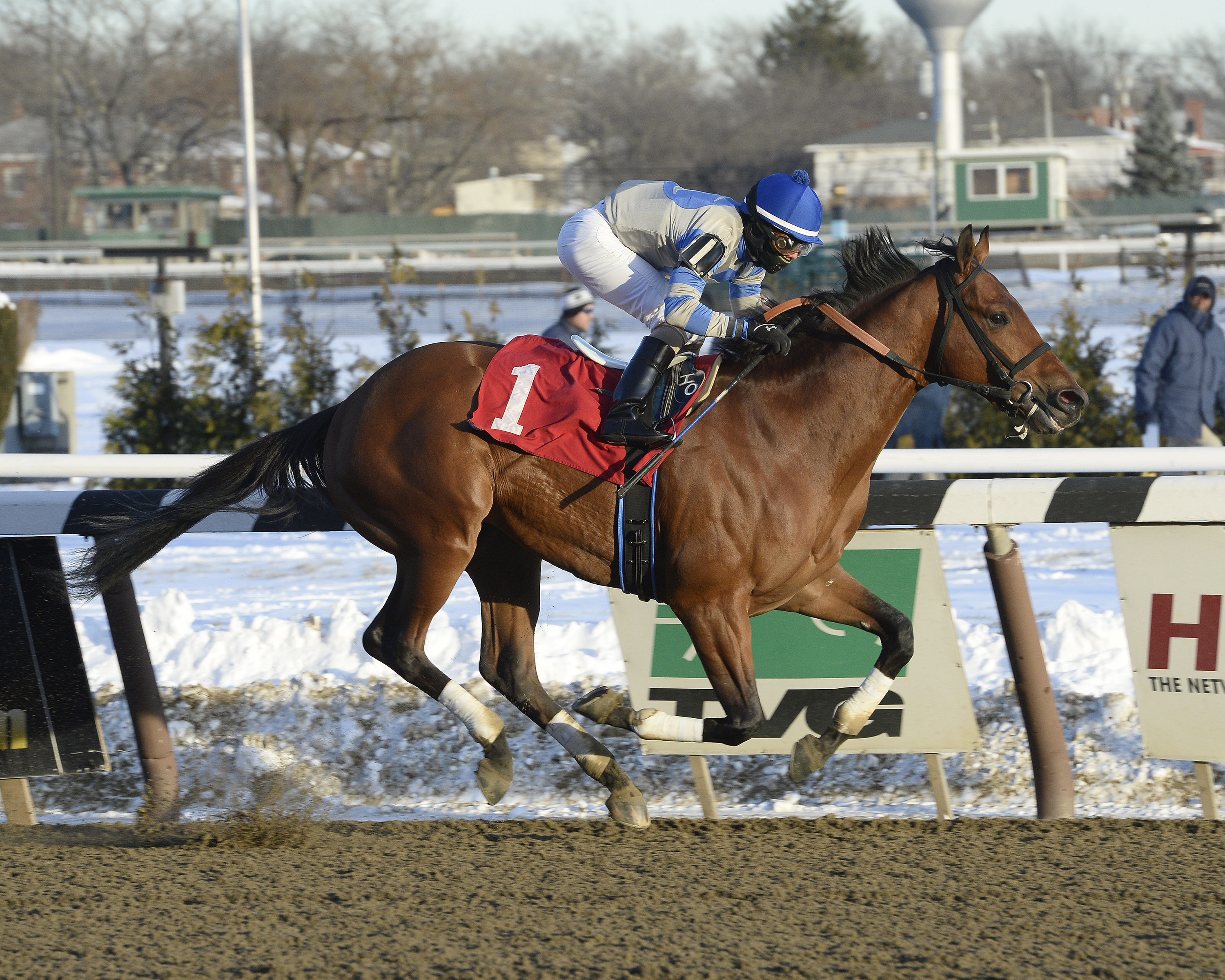 Ned Evans-bred Noble Moon dominated the Grade II Jerome on January 4, 2014. Photo Courtesy Adam Coglianese.