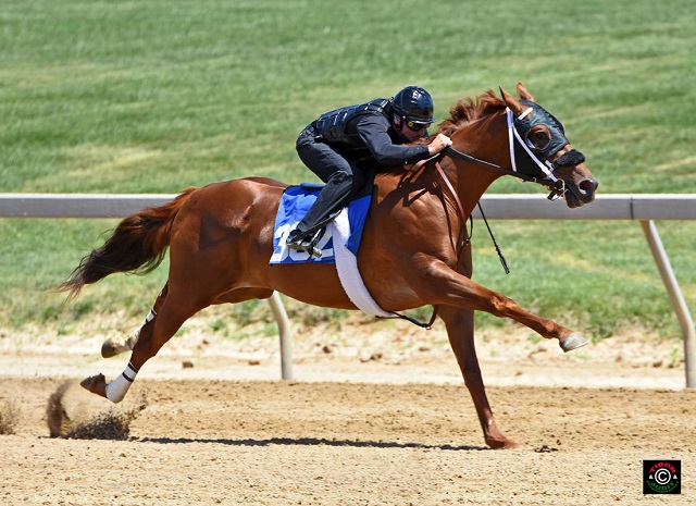 Hip 302, Dunkirk colt consigned by SAB Sales (Scott Bergsrud), agent.