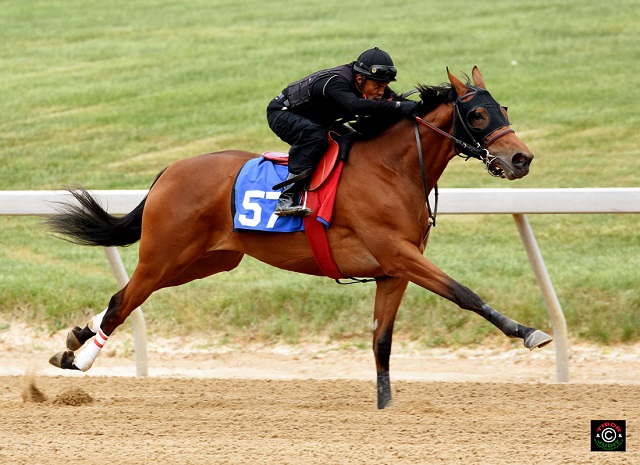 Hip 57, Discreetly Mine filly consigned by Eddie Woods, agent for Smitten Farm.