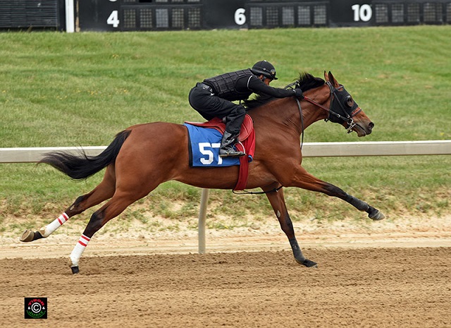 Hip 57, Discreetly Mine filly consigned by Eddie Woods, agent for Smitten Farm.