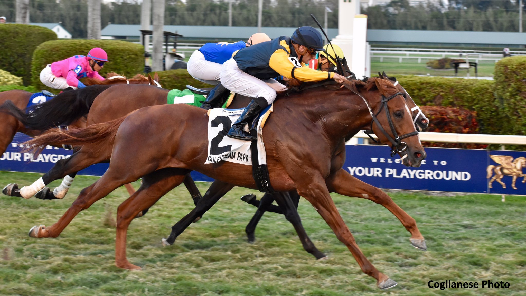 Irad released for mac Irad released for mac
