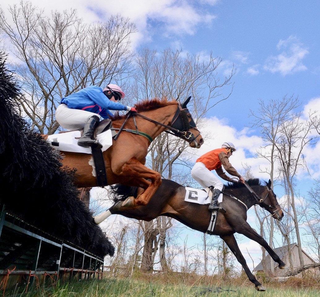 Virginias 2020 Live Horse Racing Event Schedule Is Filling Up Virginia Thoroughbred Association