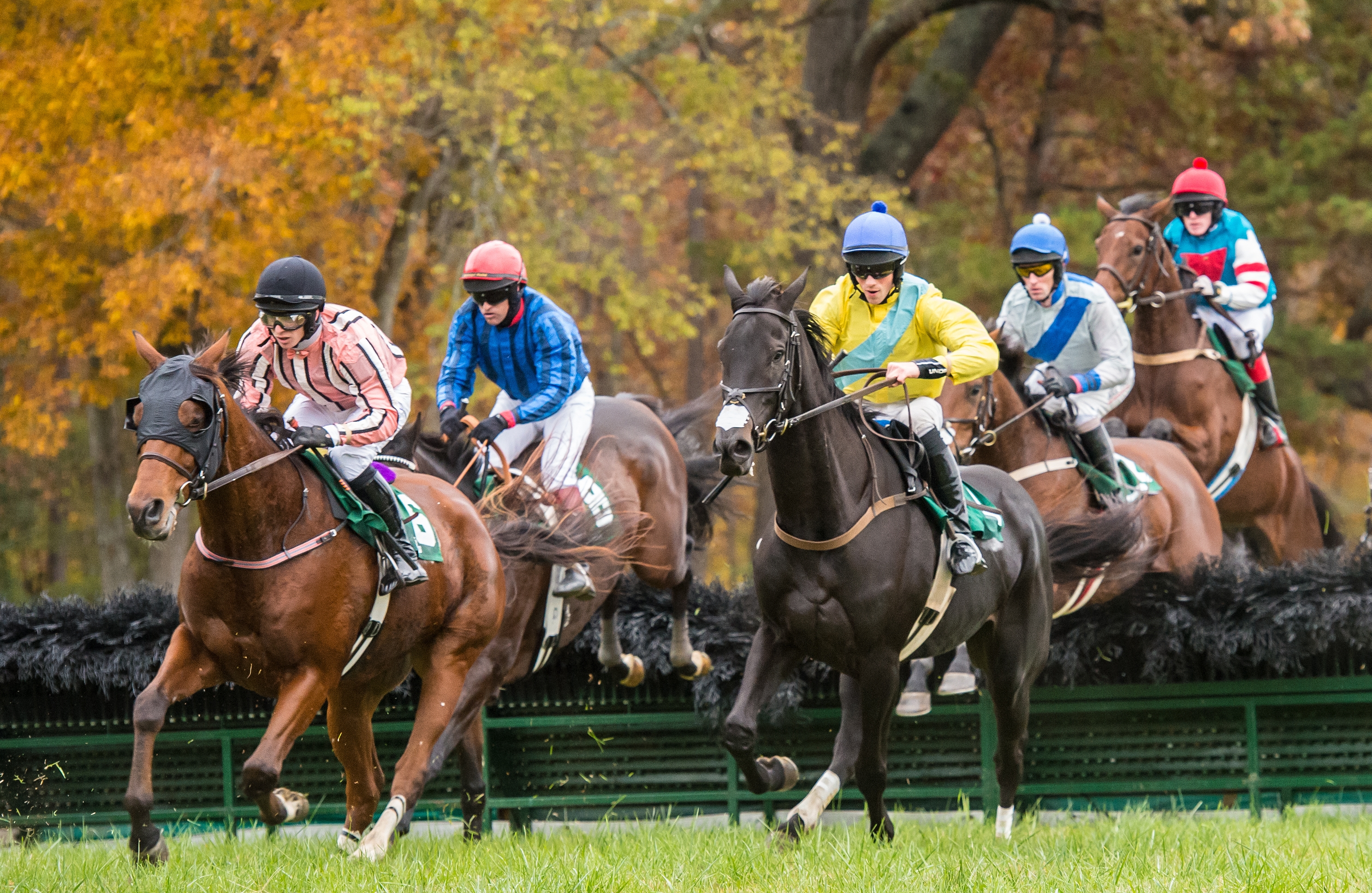 Additions, Innovations For 85th Montpelier Hunt Races on November 2