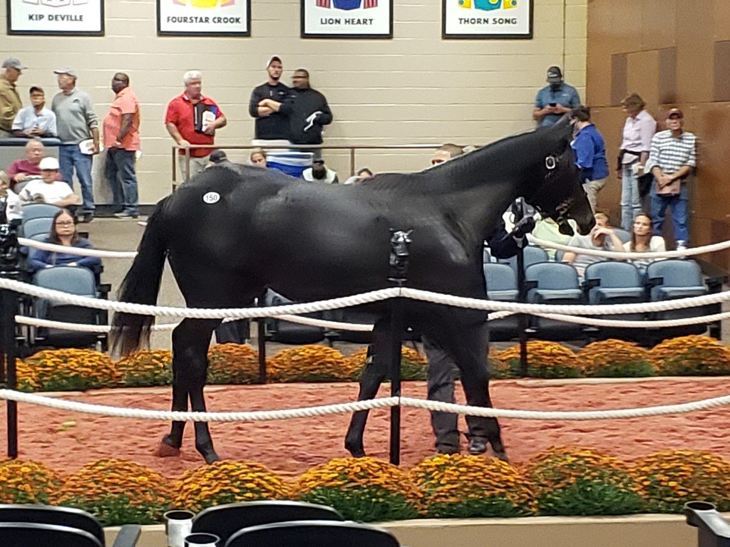 Online Bidding To Be Offered At Future FasigTipton Sales Virginia