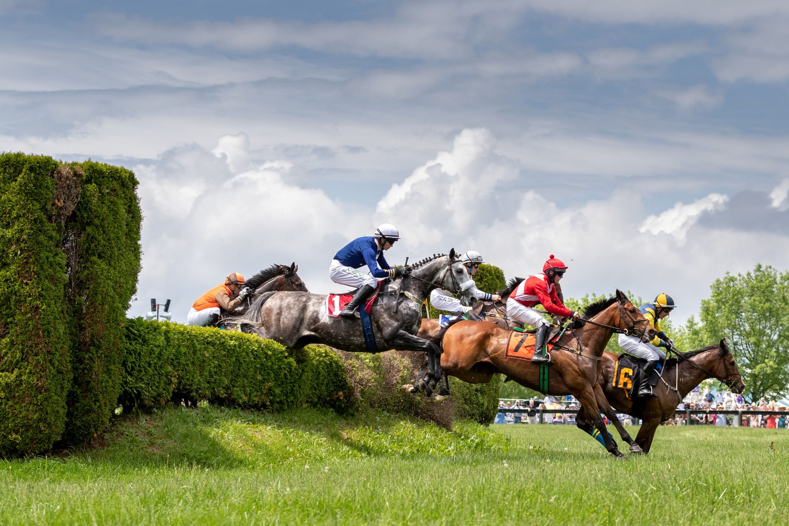 Virginia Gold Cup Will Run Without Spectators On Saturday June 27