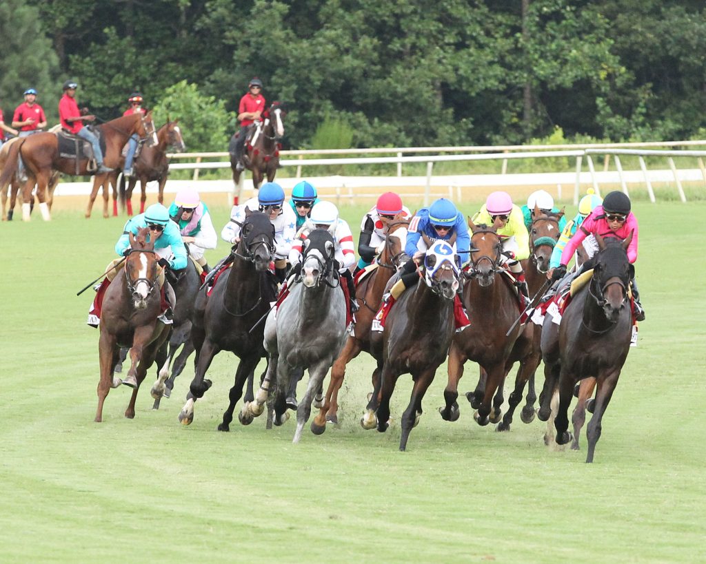 VTA/ VHBPA Owner Suites Open for the Colonial Downs 24 Season
The horsemen’s suites will be available daily to VTA/ VHBPA members during the Colonial Downs race meet, July 11th through September 7th. The first post will be at 1:30 on Thursdays and Saturdays and 4:30 PM on Friday evenings.

*The suites will be used for paid events on August 10th Colonial Downs Turf Festival and September 7th Virginia Derby Day*

Arlington Million at Colonial Downs 23, Photo by Coady Photography
                               Arlington Million at Colonial Downs 23, Photo by Coady Photography