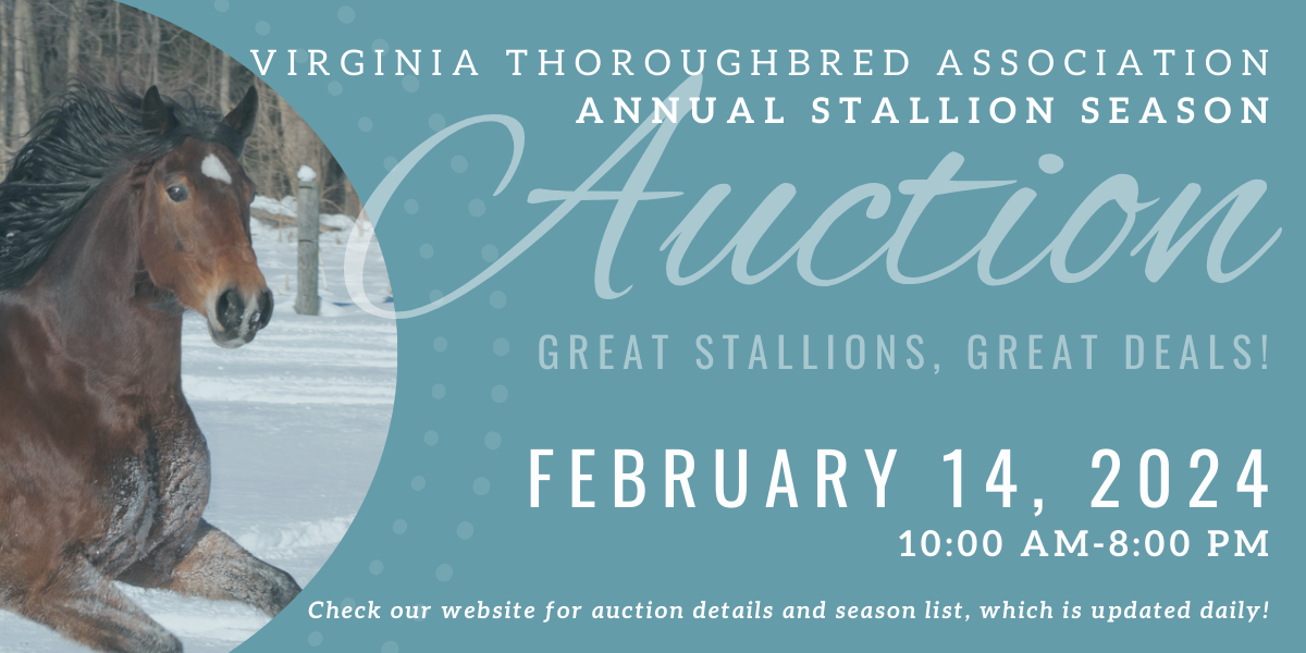 Virginia Thoroughbred Association Stallion Auction 2024 Seasons